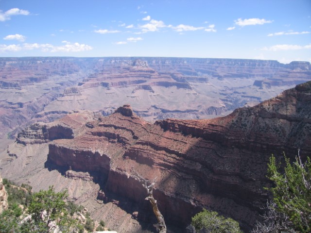 IMG_1269.JPG