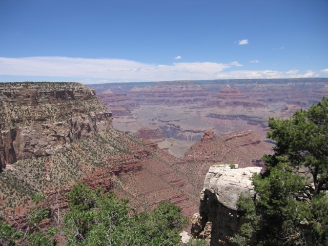 IMG_1273.JPG