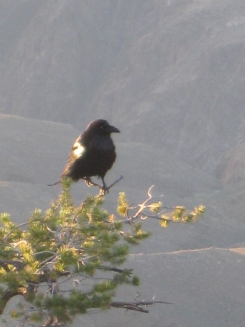 IMG_1299.JPG
