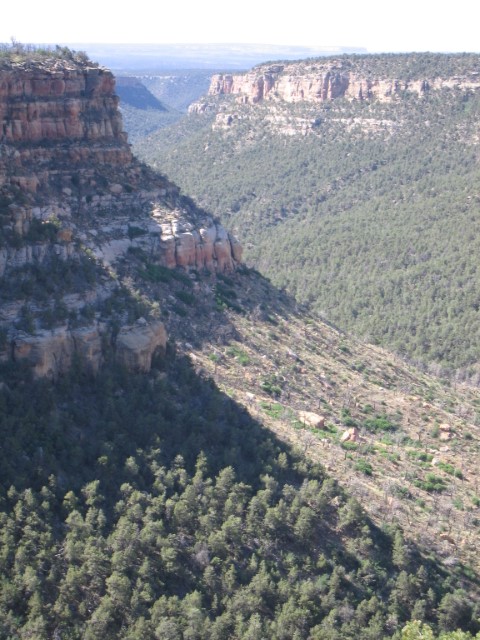 IMG_1400.JPG