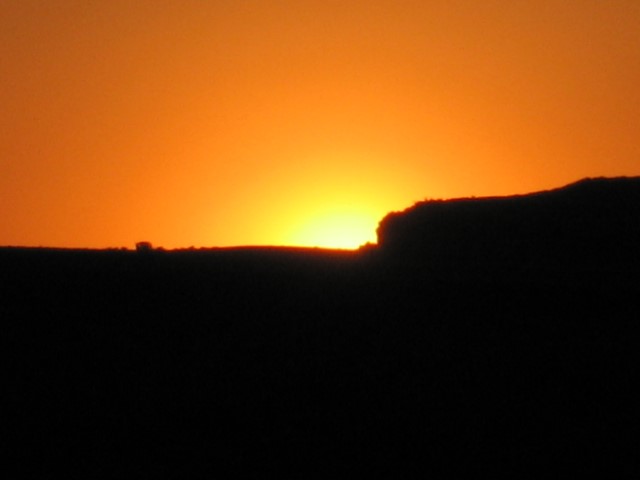 IMG_1456.JPG