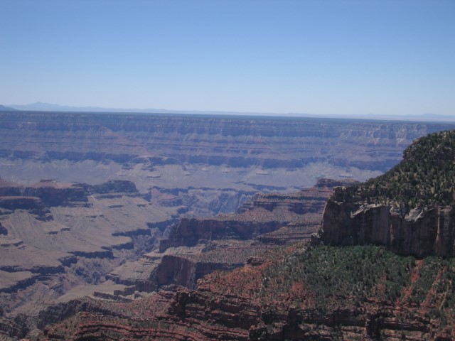 IMG_1463.JPG