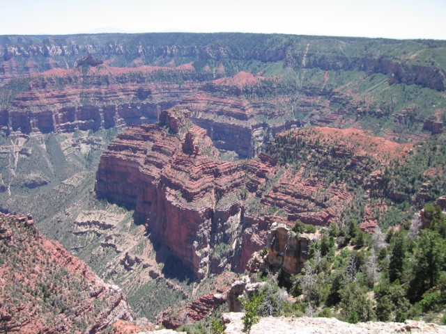 IMG_1465.JPG