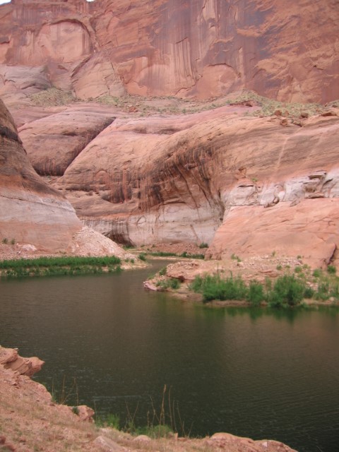 IMG_1523.JPG