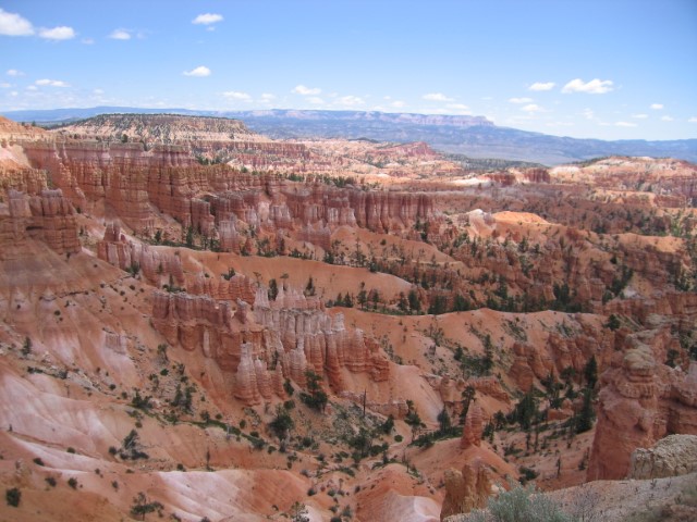 IMG_1573.JPG