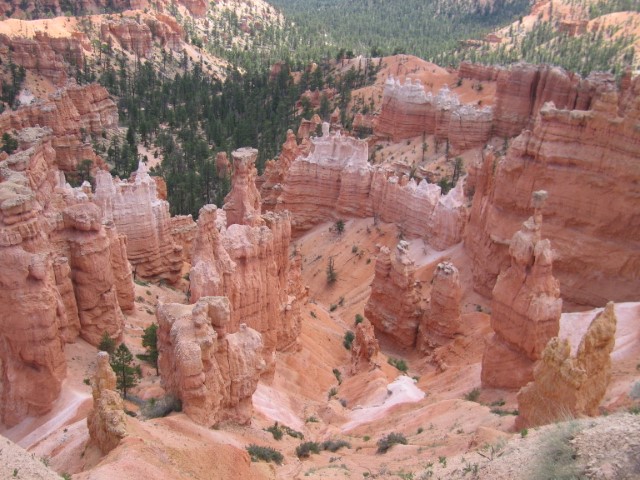 IMG_1574.JPG