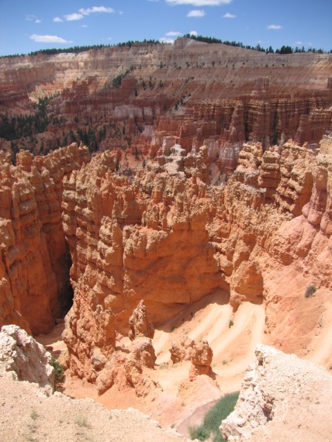 IMG_1576.JPG