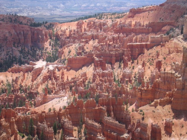 IMG_1583.JPG