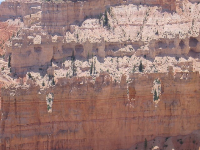 IMG_1585.JPG