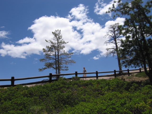 IMG_1586.JPG
