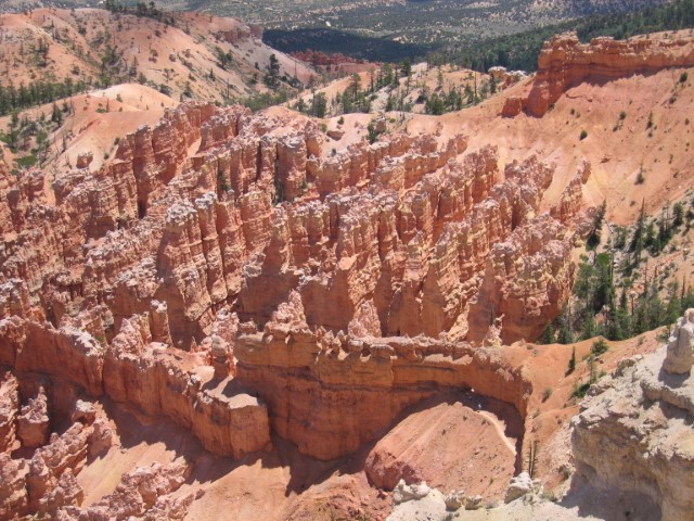 IMG_1589.JPG