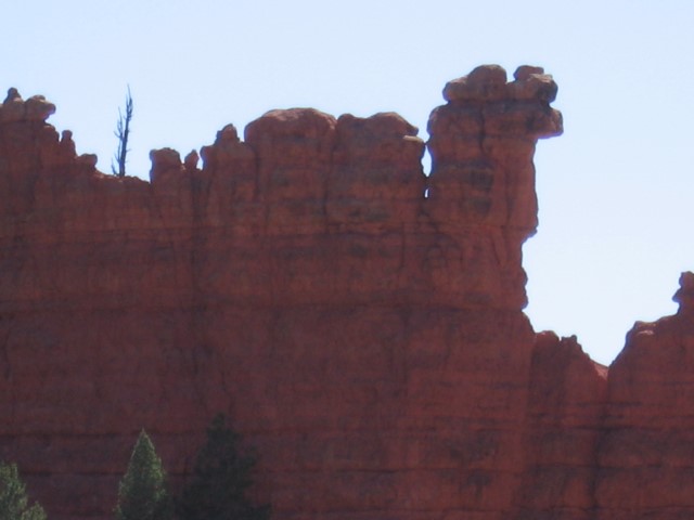 IMG_1597.JPG