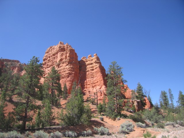 IMG_1600.JPG