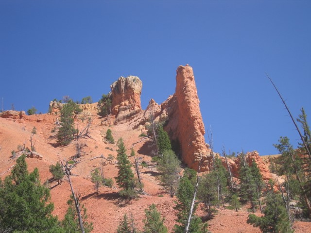 IMG_1601.JPG