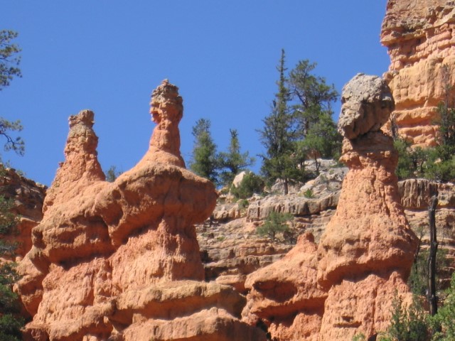 IMG_1608.JPG