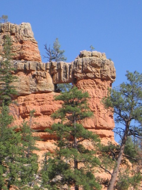 IMG_1610.JPG