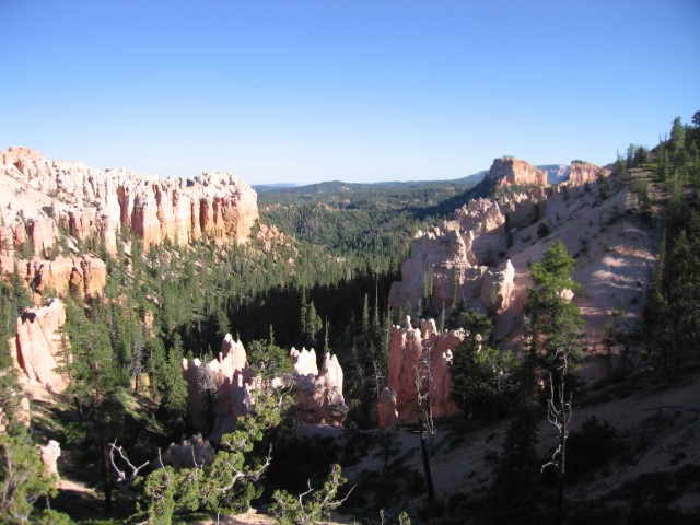 IMG_1618.JPG