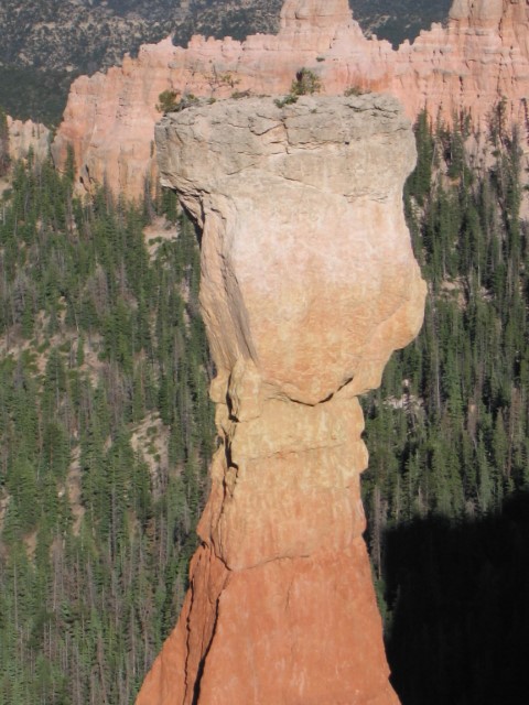 IMG_1622.JPG