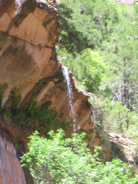 IMG_1640.JPG