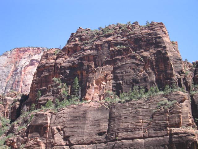 IMG_1650.JPG