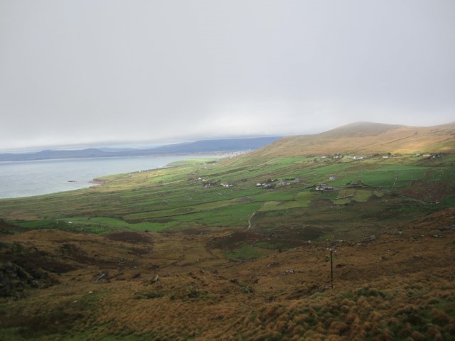 IMG_0725.jpg