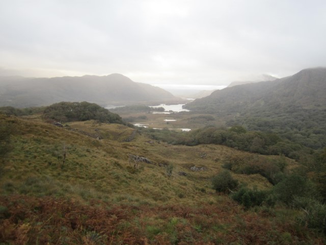 IMG_0743.jpg