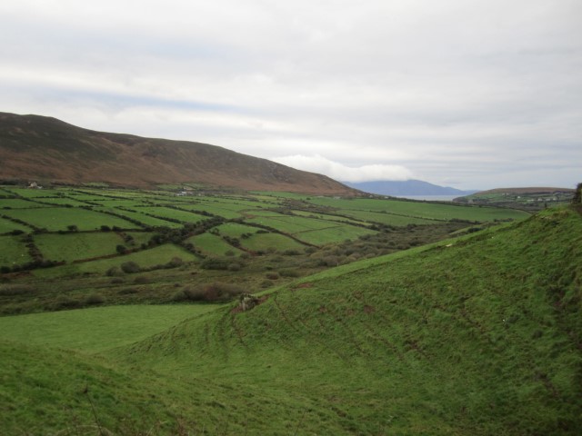 IMG_0753.jpg
