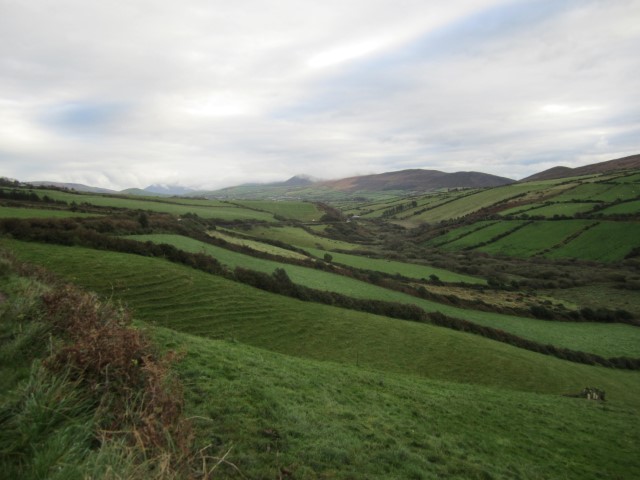 IMG_0758.jpg
