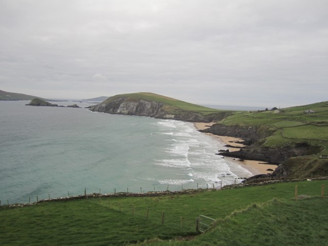 IMG_0770.jpg