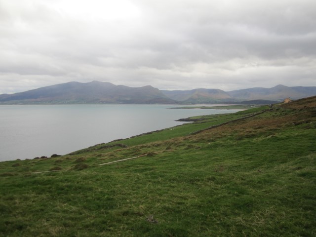 IMG_0789.jpg