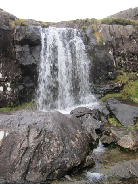 IMG_0793.jpg