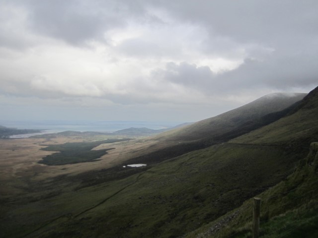 IMG_0799.jpg