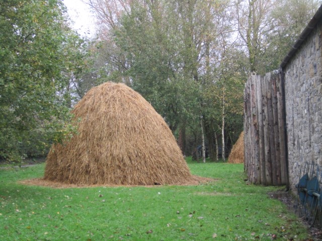 IMG_0846.jpg