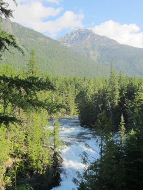 IMG_1484.JPG