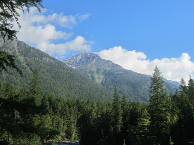IMG_1485.JPG