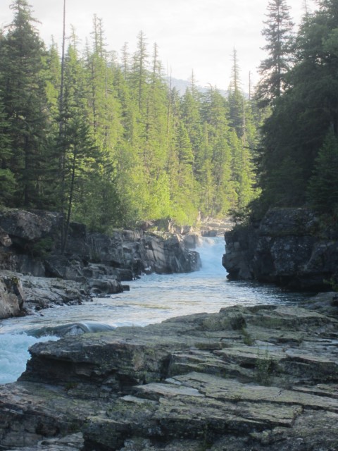IMG_1487.JPG