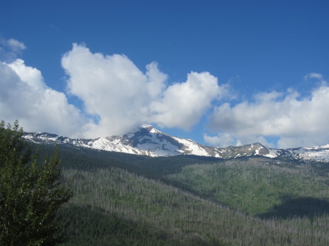 IMG_1492.JPG