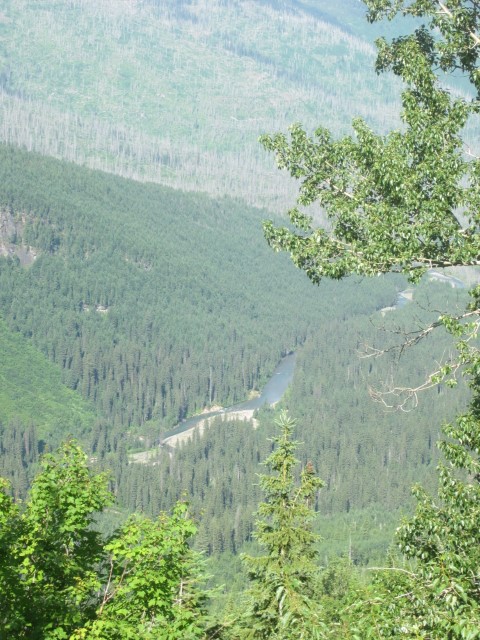 IMG_1507.JPG
