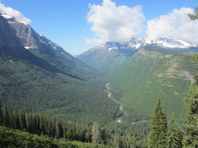 IMG_1516.JPG