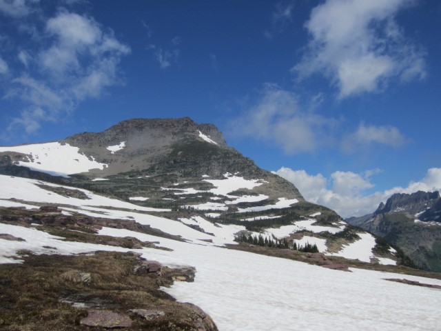 IMG_1534.JPG