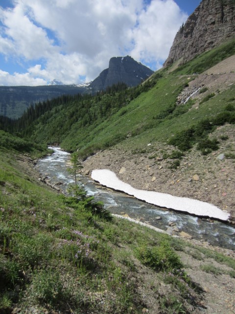 IMG_1543.JPG