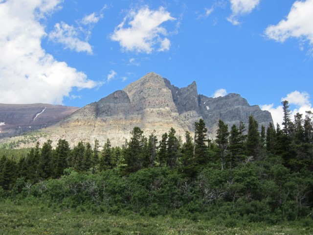 IMG_1571.JPG