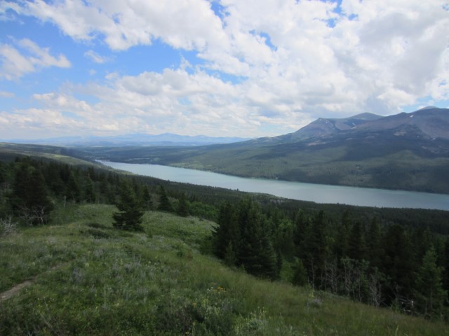 IMG_1588.JPG