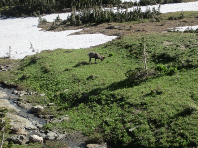 IMG_1654.JPG