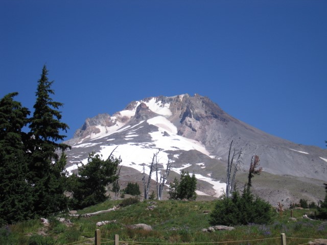 IMG_2953.JPG