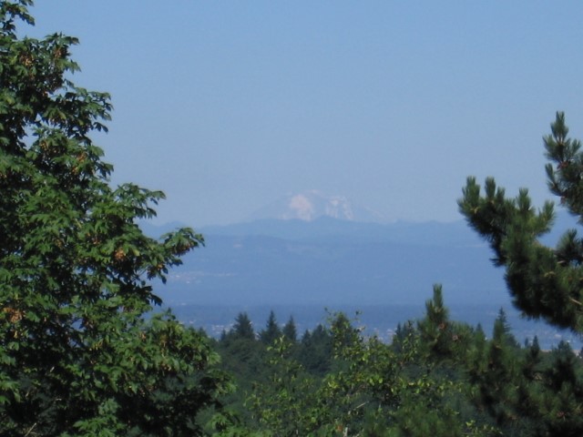 IMG_2984.JPG
