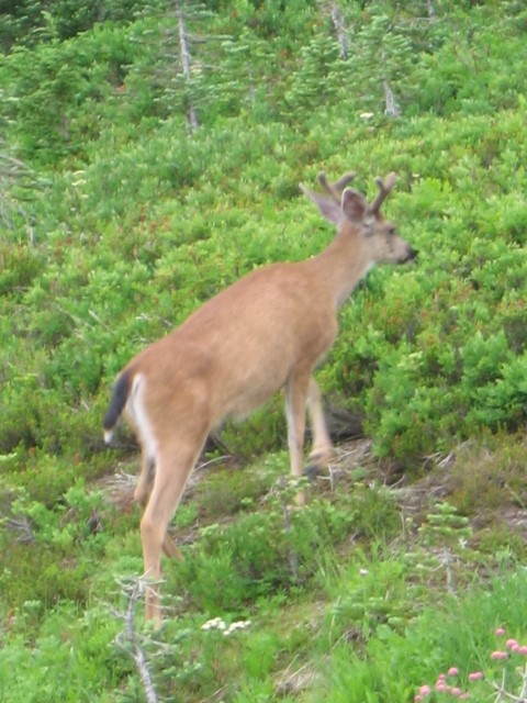 IMG_3189.JPG