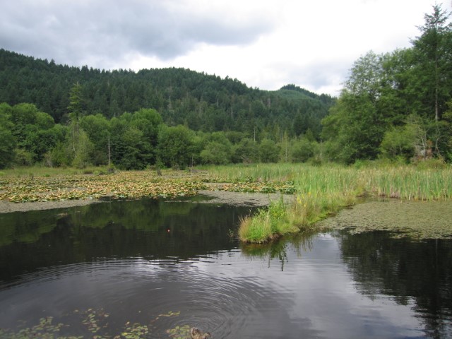 IMG_3205.JPG