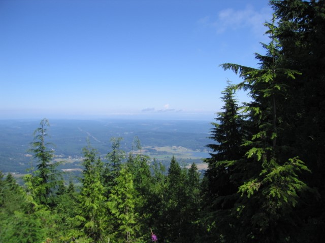 IMG_3246.JPG