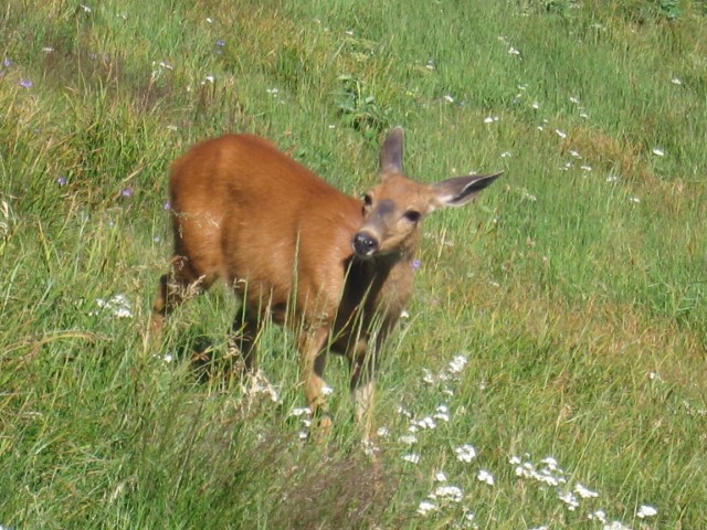 IMG_3257.JPG